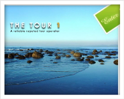 The Tour 1